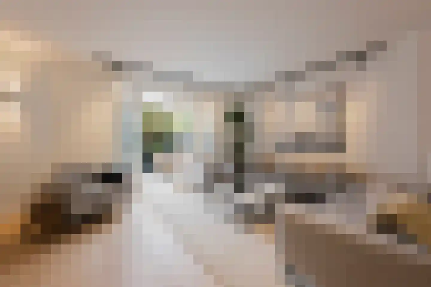 Gerrit van der Veenstraat 132 2 Amsterdam thumbnail 7