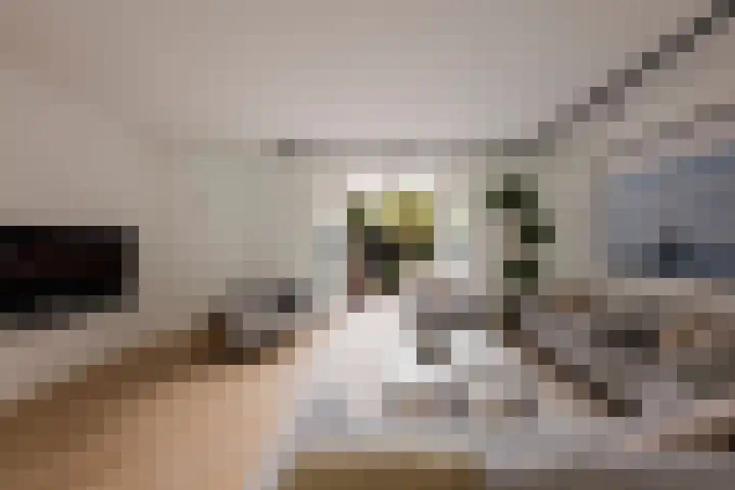 Gerrit van der Veenstraat 132 H Amsterdam thumbnail 20