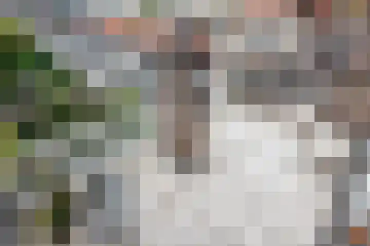 Gerrit van der Veenstraat 155 H Amsterdam thumbnail 5