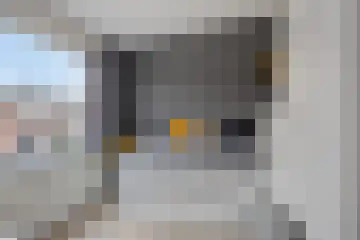 Gerrit van der Veenstraat 18 Oss thumbnail 13