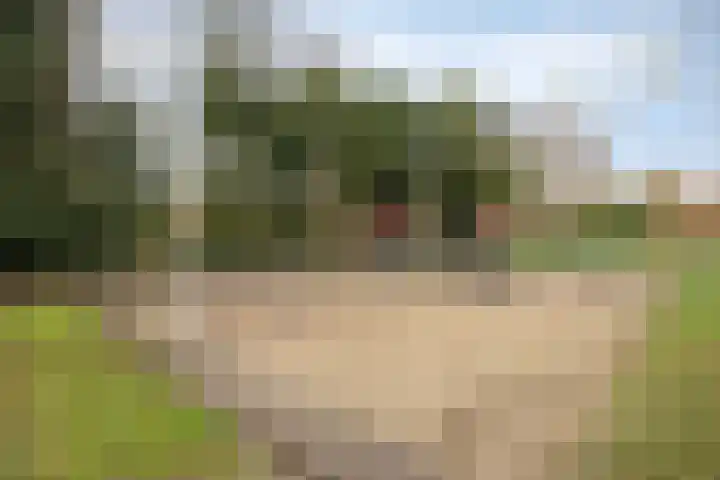 Gerrit van der Veenstraat 18 Oss thumbnail 20