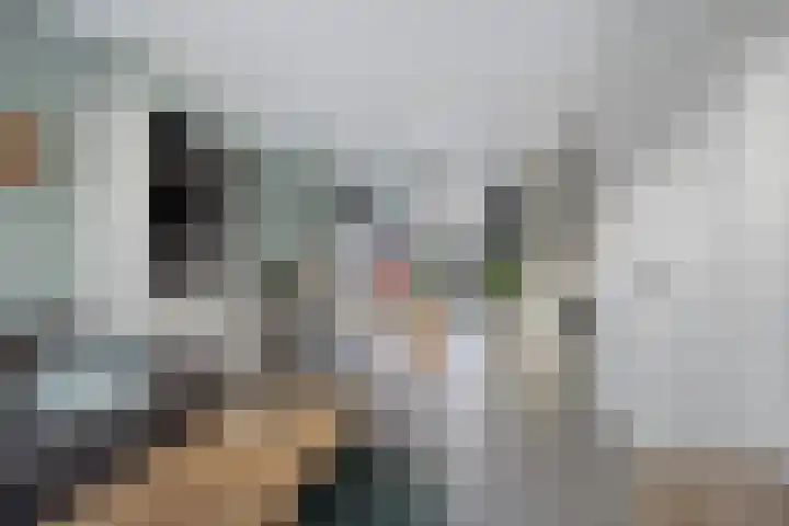 Gerrit van der Veenstraat 18 Oss thumbnail 5