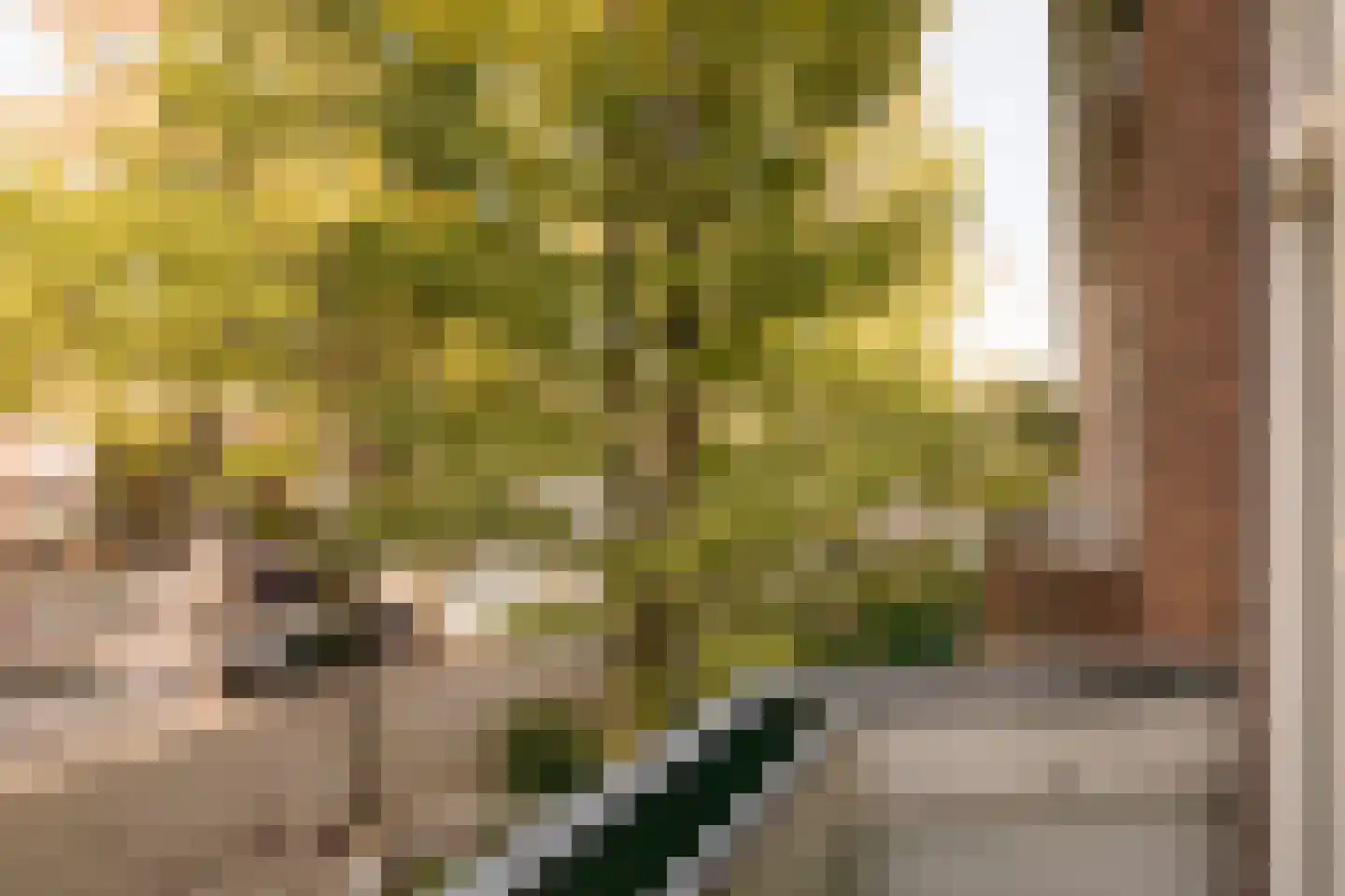 Gerrit van der Veenstraat 21 Amsterdam thumbnail 16