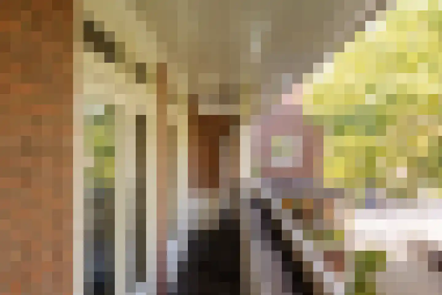 Gerrit van der Veenstraat 21 Amsterdam thumbnail 19
