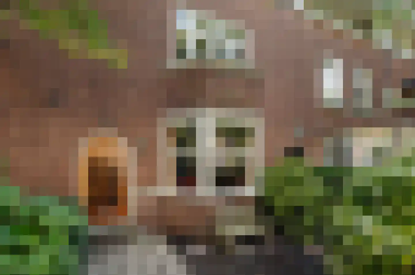 Gerrit van der Veenstraat 21 Amsterdam thumbnail 23