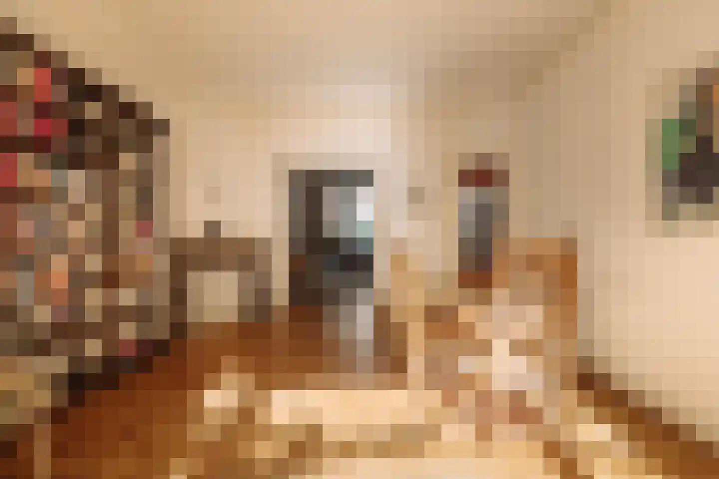 Gerrit van der Veenstraat 21 Amsterdam thumbnail 5