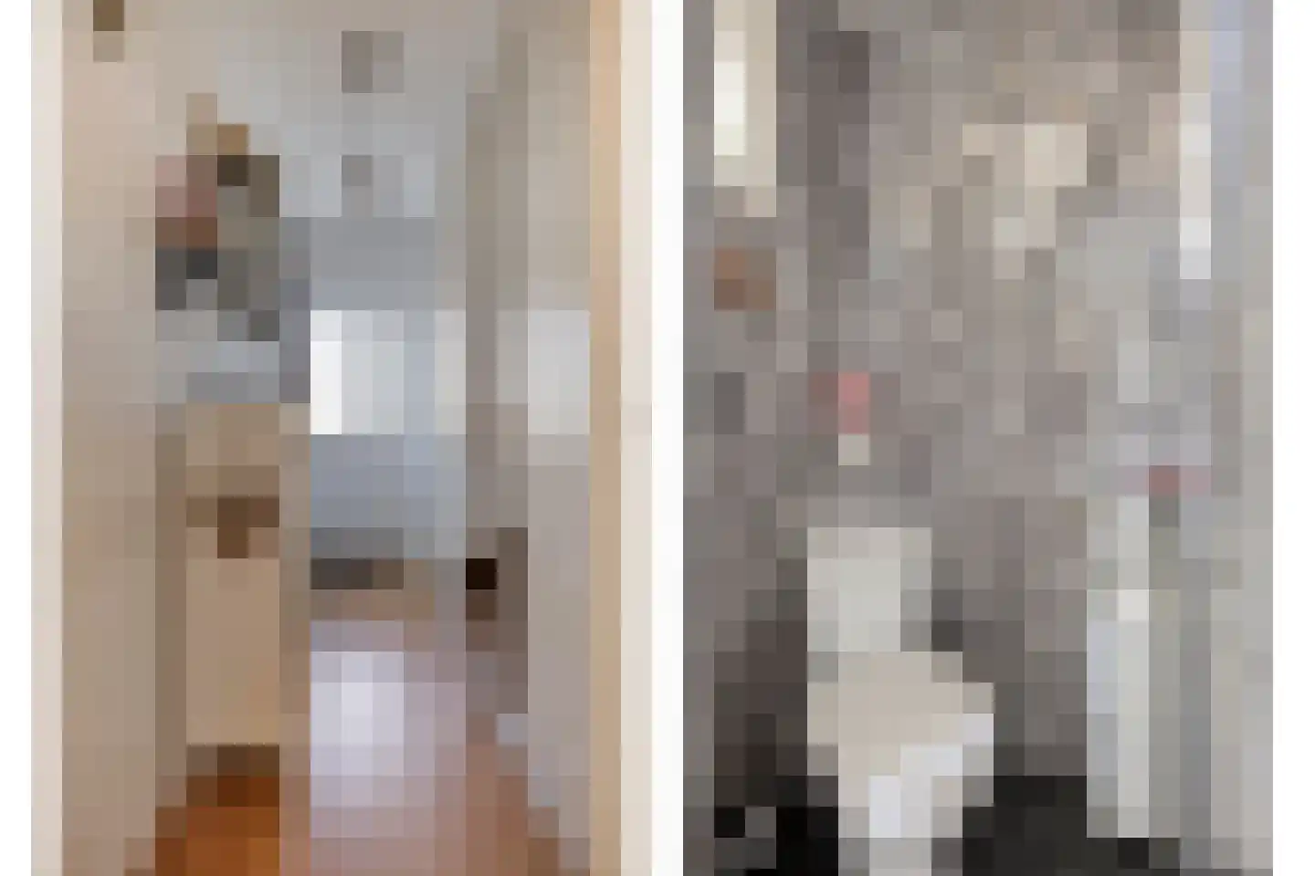Gerrit van der Veenstraat 211 Oss thumbnail 10