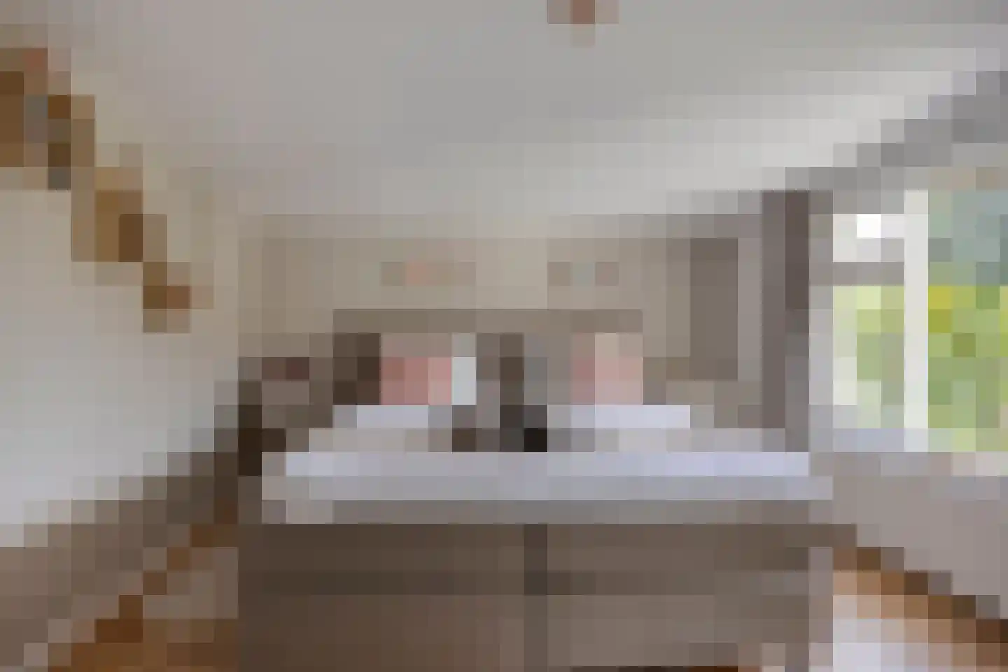 Gerrit van der Veenstraat 211 Oss thumbnail 11