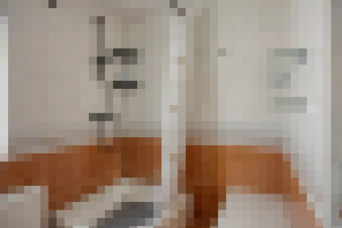 Gerrit van der Veenstraat 211 Oss thumbnail 15
