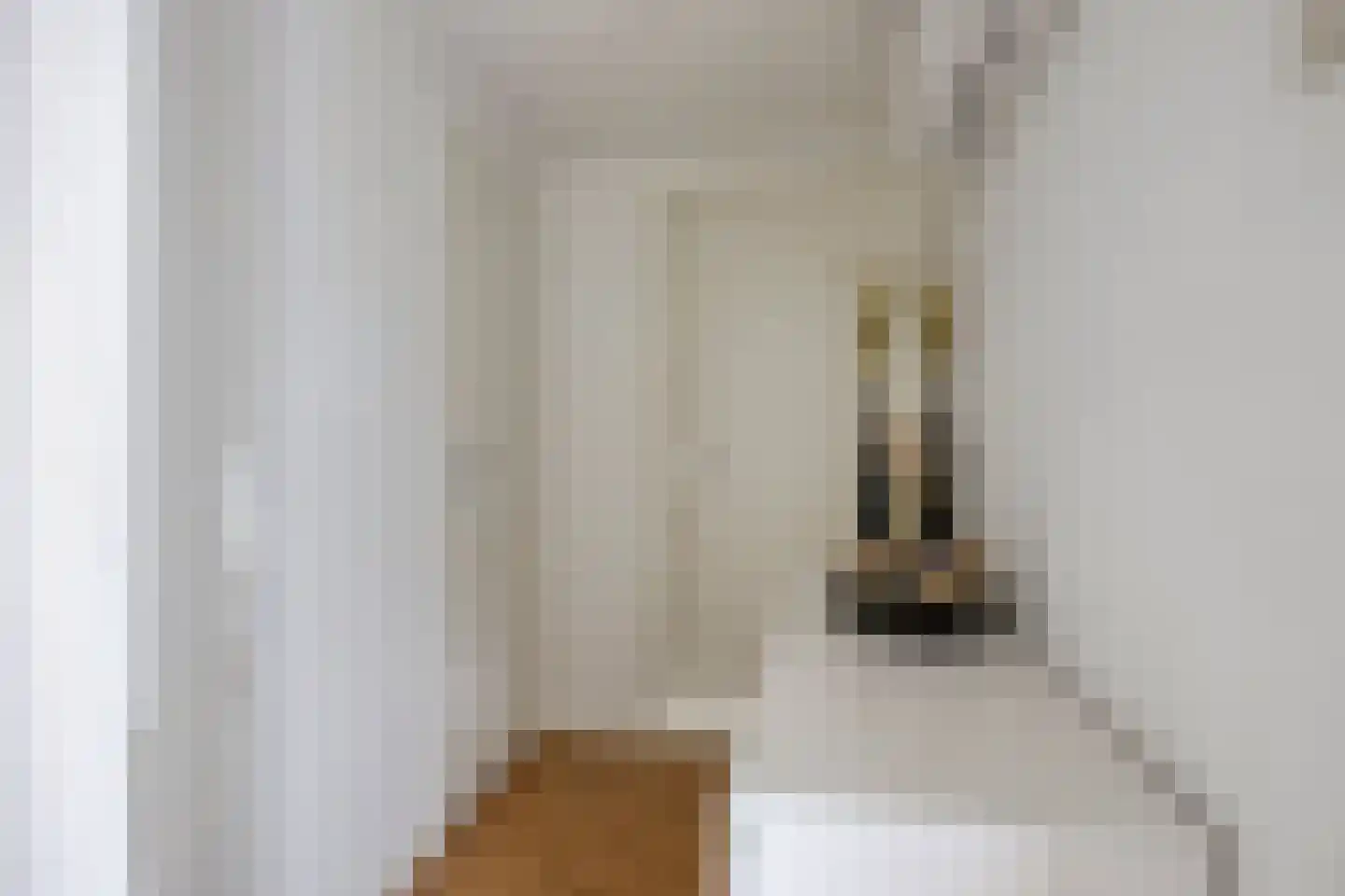 Gerrit van der Veenstraat 211 Oss thumbnail 16
