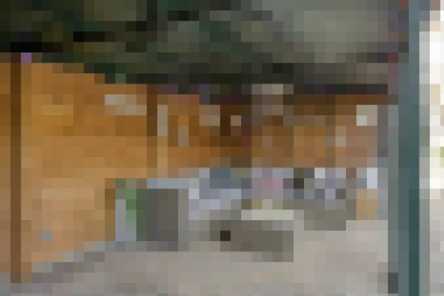 Gerrit van der Veenstraat 211 Oss thumbnail 19