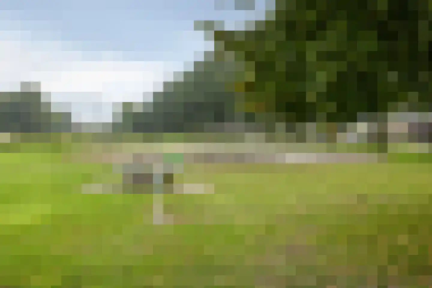 Gerrit van der Veenstraat 211 Oss thumbnail 29