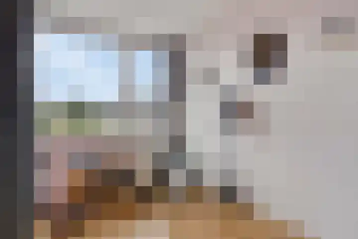 Gerrit van der Veenstraat 24 Soest thumbnail 18