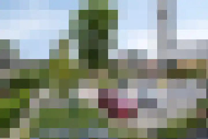 Gerrit van der Veenstraat 24 Soest thumbnail 34