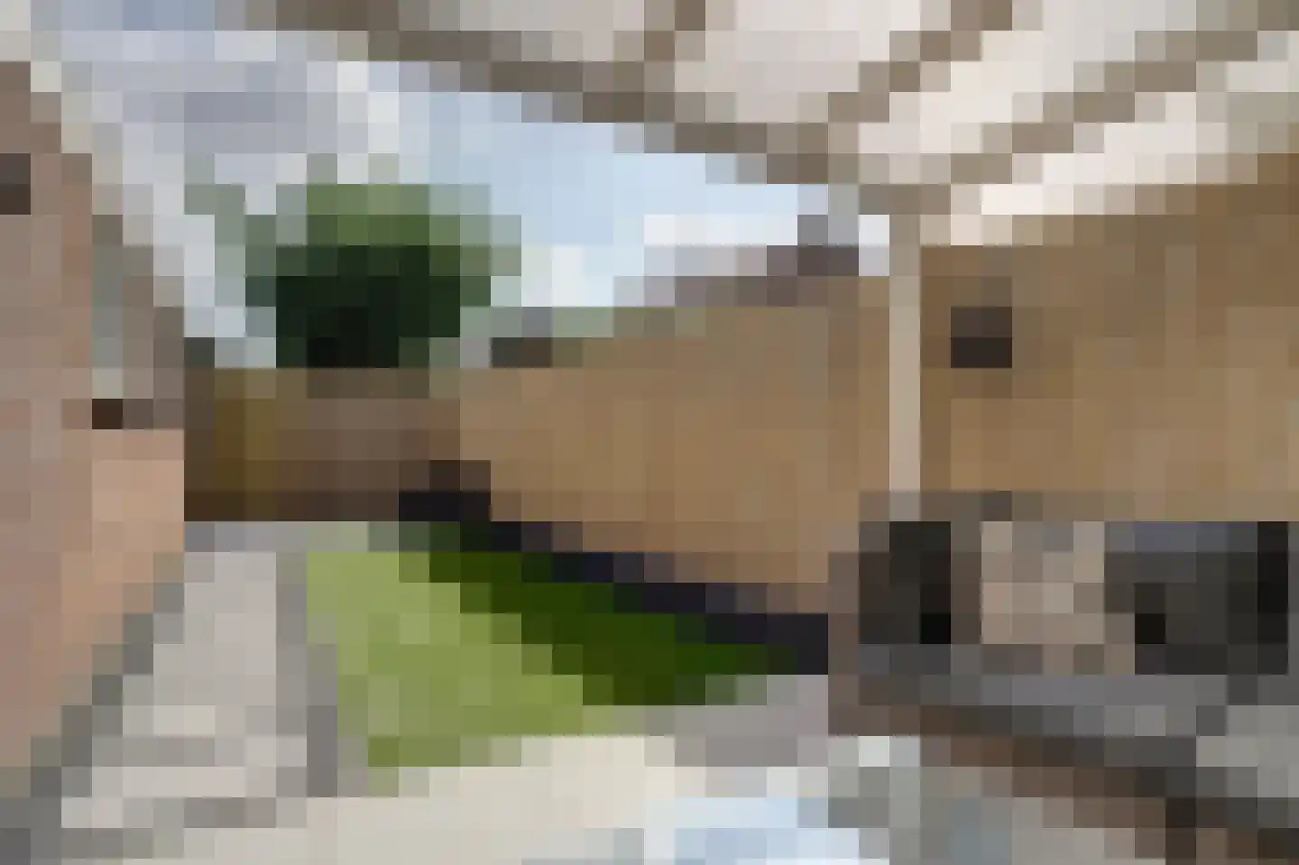 Gerrit van der Veenstraat 25 Best thumbnail 34