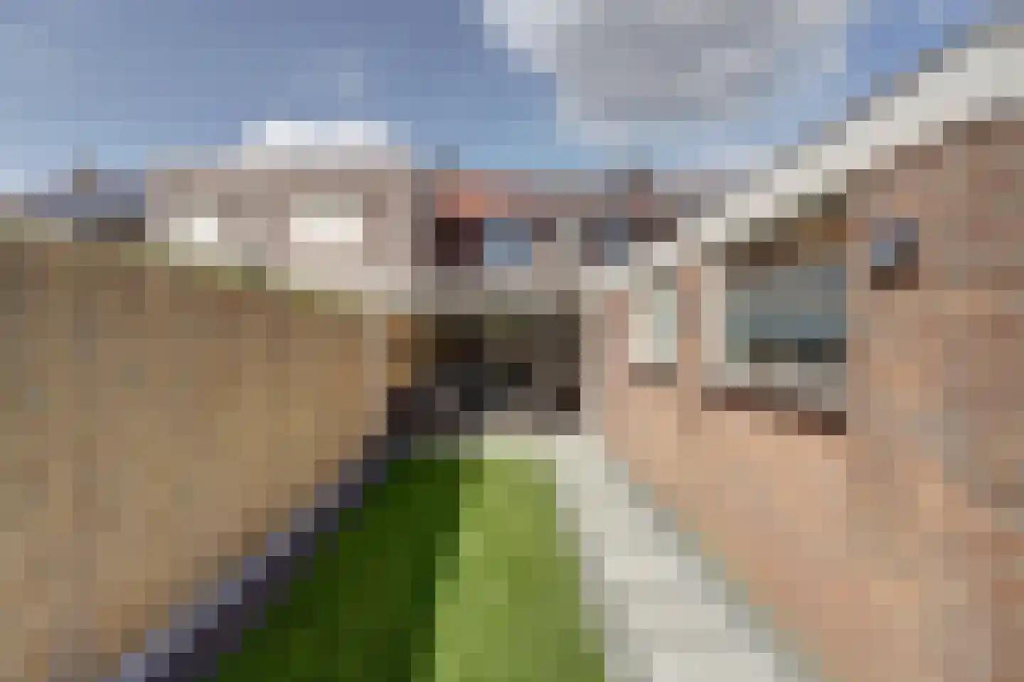 Gerrit van der Veenstraat 25 Best thumbnail 36