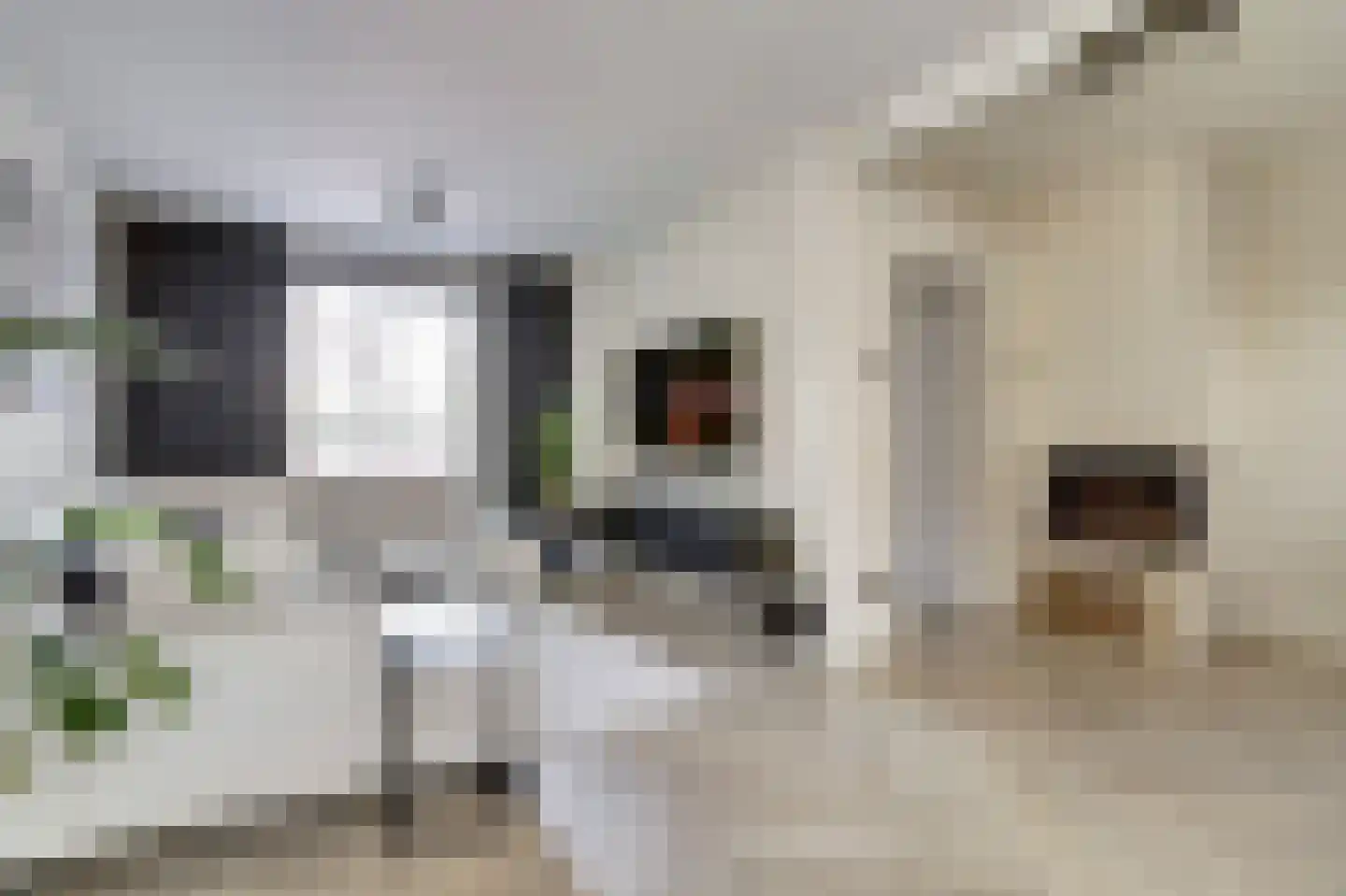 Gerrit van der Veenstraat 25 Best thumbnail 6