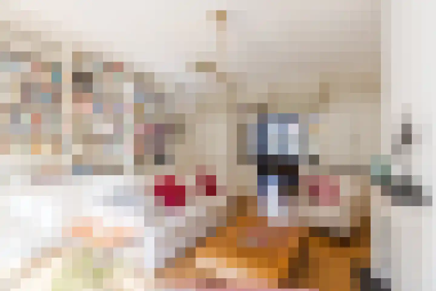 Gerrit van der Veenstraat 51 2 Amsterdam thumbnail 15