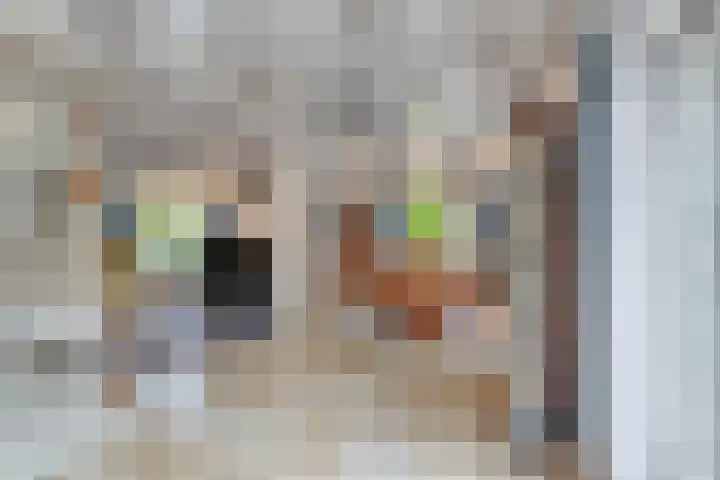 Gerrit van der Veenstraat 54 Middelburg thumbnail 31