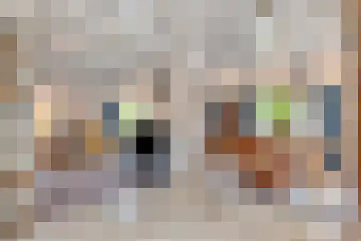 Gerrit van der Veenstraat 54 Middelburg thumbnail 32