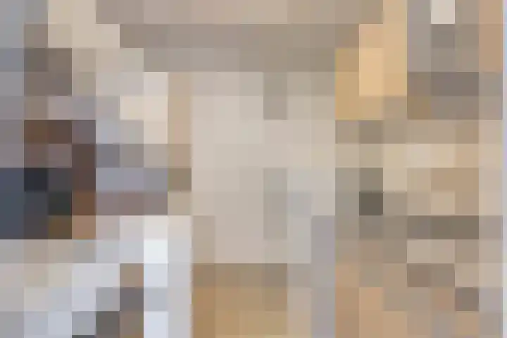 Gerrit van der Veenstraat 54 Middelburg thumbnail 35