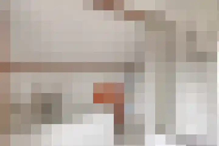 Gerrit van der Veenstraat 54 Middelburg thumbnail 41