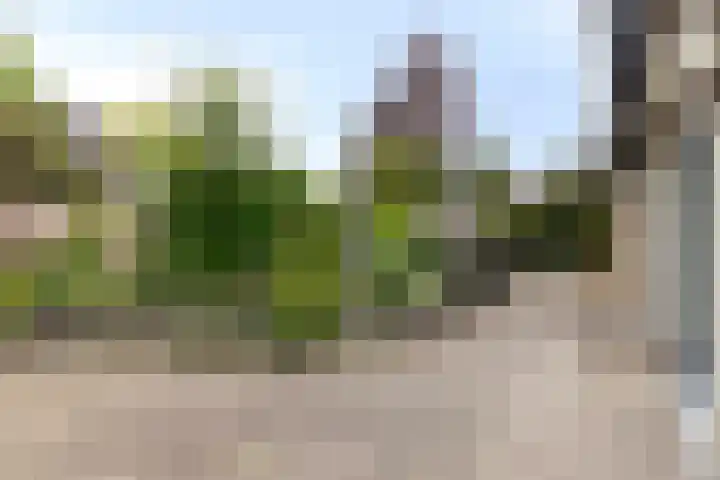 Gerrit van der Veenstraat 54 Middelburg thumbnail 51