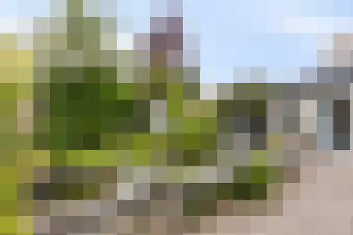 Gerrit van der Veenstraat 54 Middelburg thumbnail 52