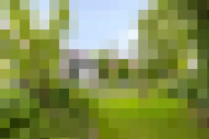 Gerrit van der Veenstraat 54 Middelburg thumbnail 57