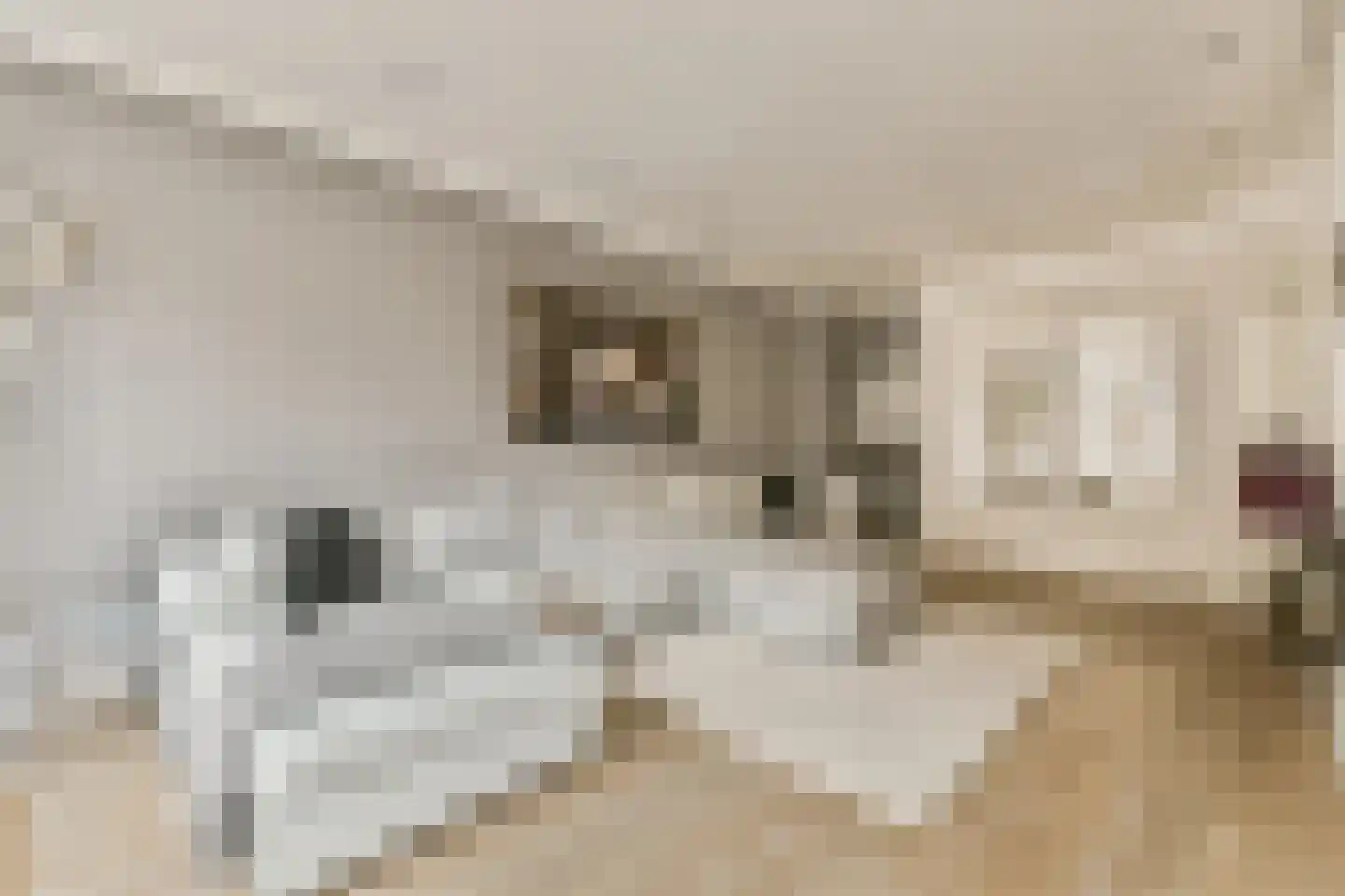 Gerrit van der Veenstraat 66 Amsterdam thumbnail 13
