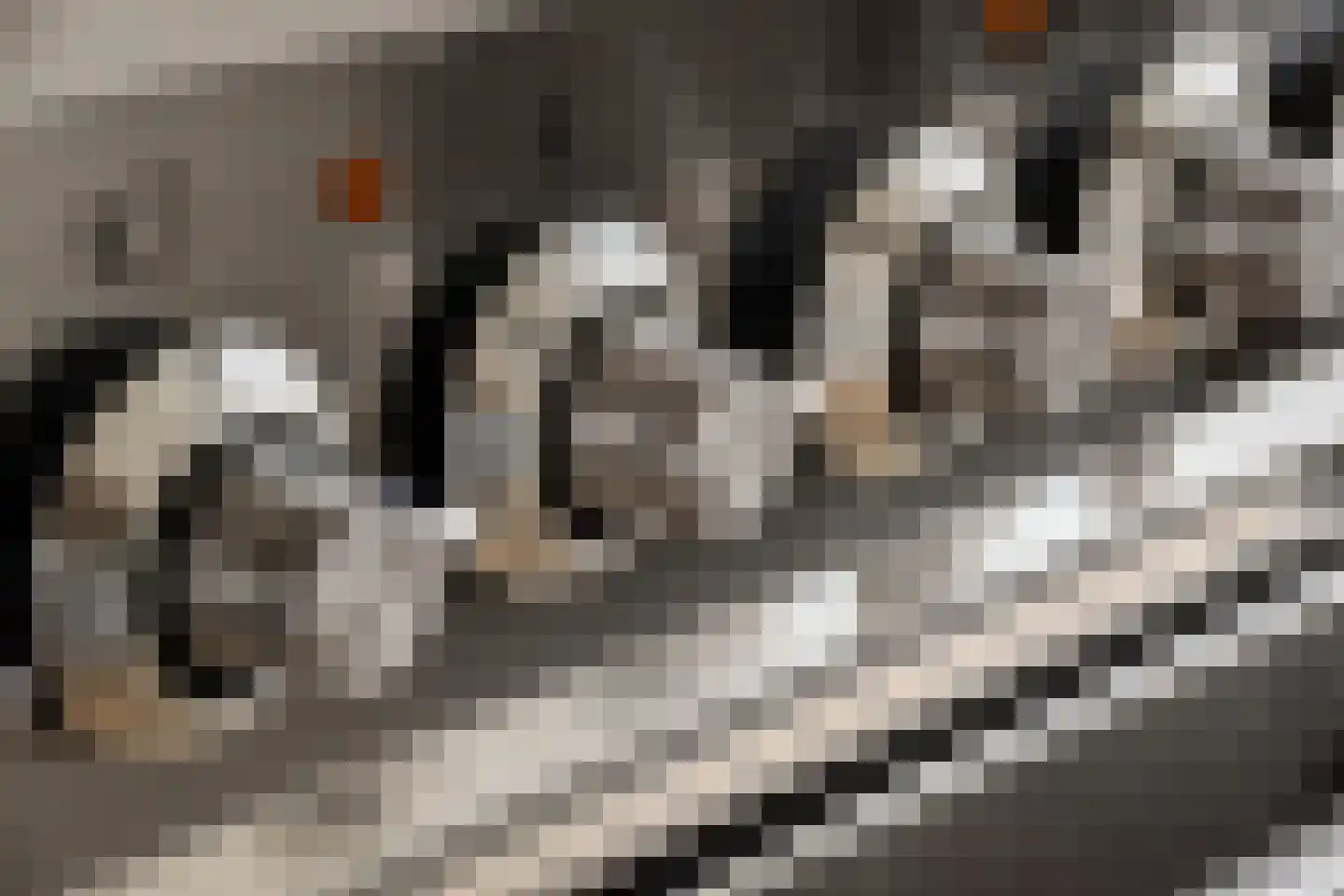 Gerrit van der Veenstraat 66 Amsterdam thumbnail 27
