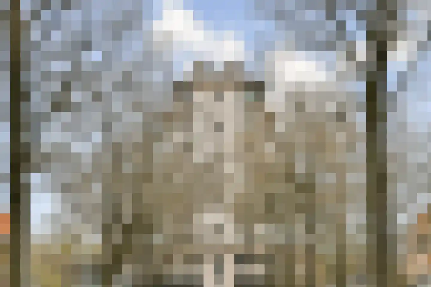 Gerrit van der Veenstraat 66 Amsterdam thumbnail 43