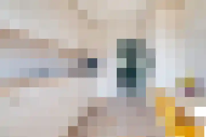 Gerrit van der Veenstraat 69 Soest thumbnail 9