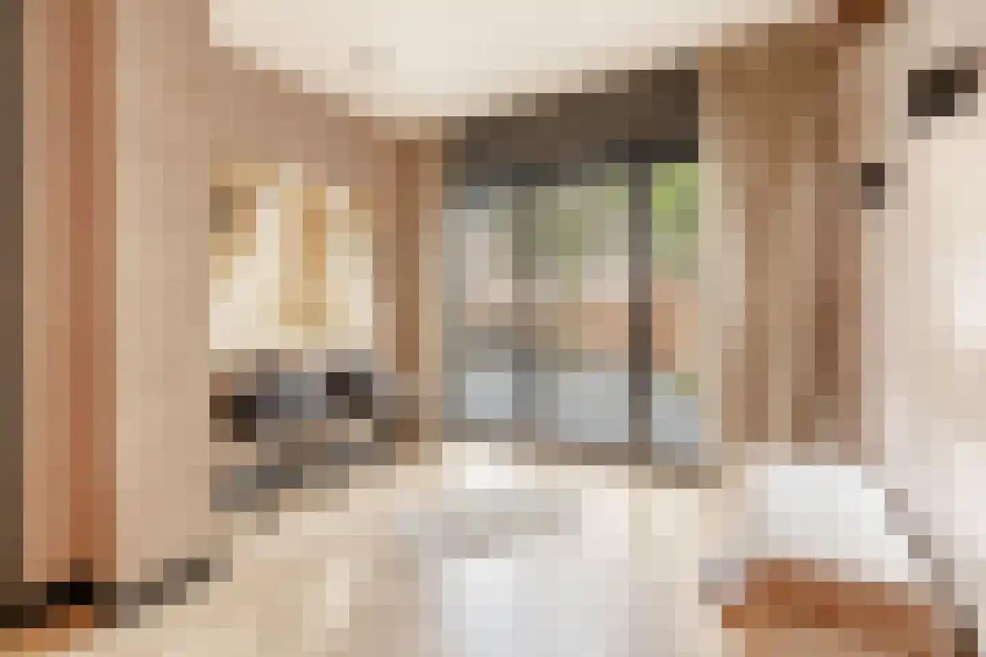 Gerrit van der Veenstraat 78 H Amsterdam thumbnail 18