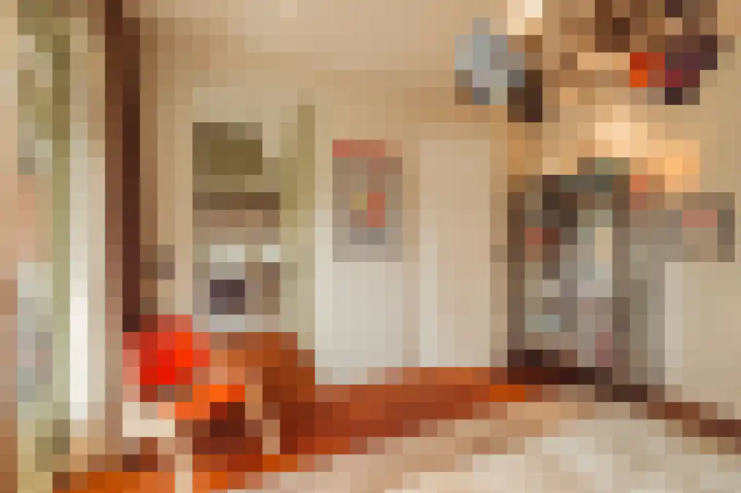 Gerrit van der Veenstraat 8 Amsterdam thumbnail 30