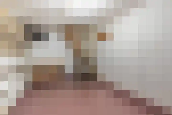 Gerrit van der Veenstraat 80 1 Amsterdam thumbnail 17