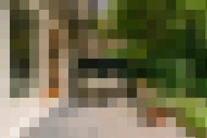 Gerrit van der Veenstraat 81 Amsterdam thumbnail 15