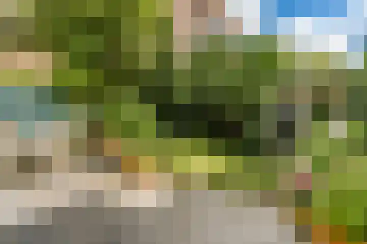 Gerrit van der Veenstraat 81 Amsterdam thumbnail 16