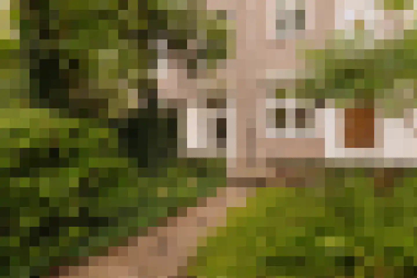 Gerrit van der Veenstraat 82 H Amsterdam thumbnail 25