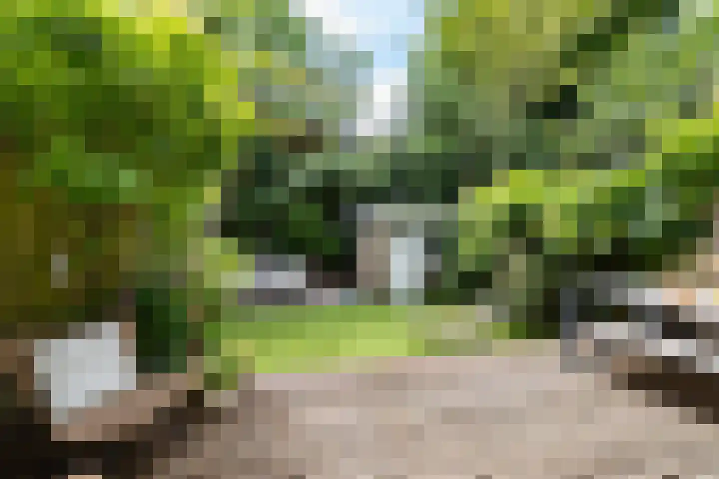 Gerrit van der Veenstraat 91 Amsterdam thumbnail 13