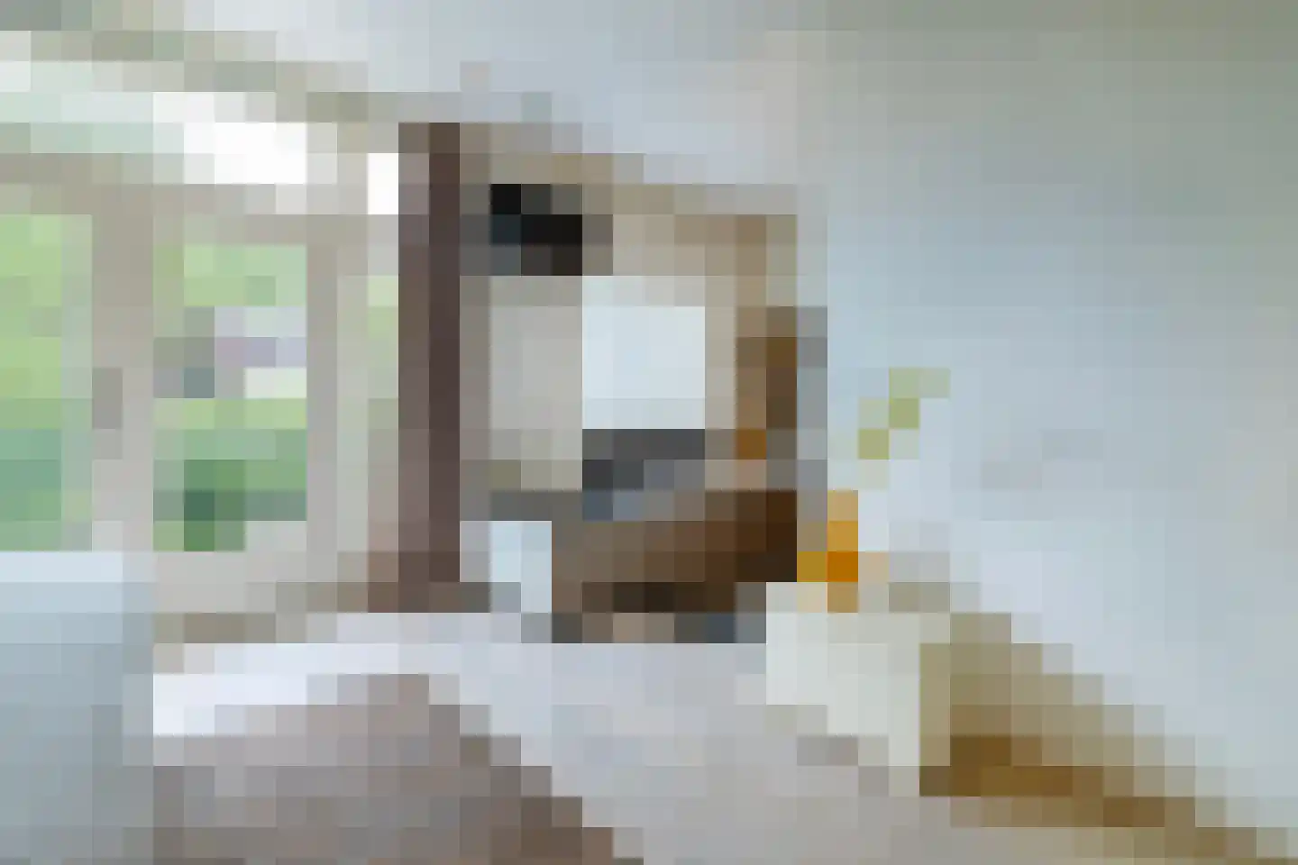 Gerrit van der Veenstraat 91 Amsterdam thumbnail 21