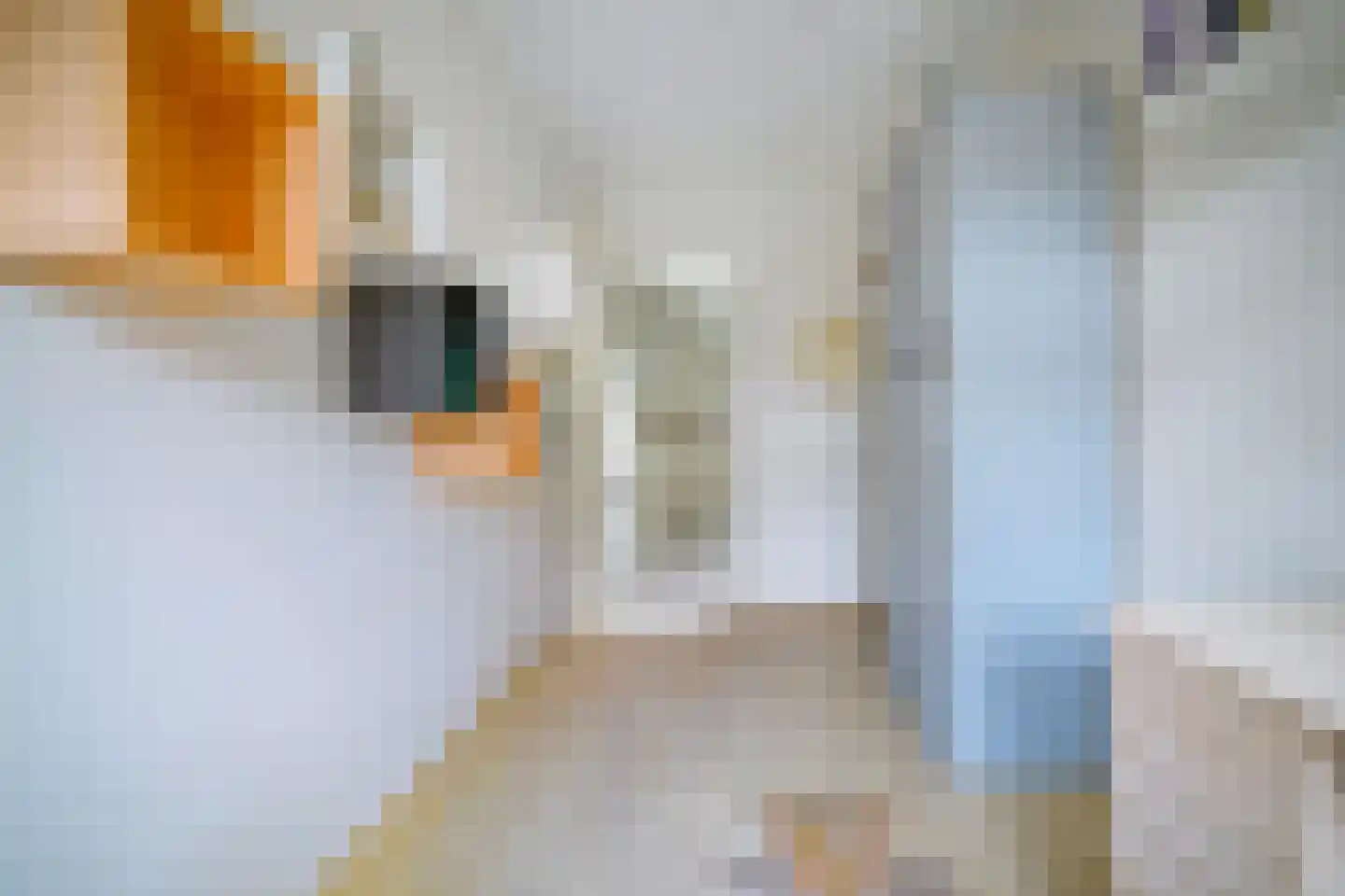 Gerrit van der Veenstraat 91 Amsterdam thumbnail 31