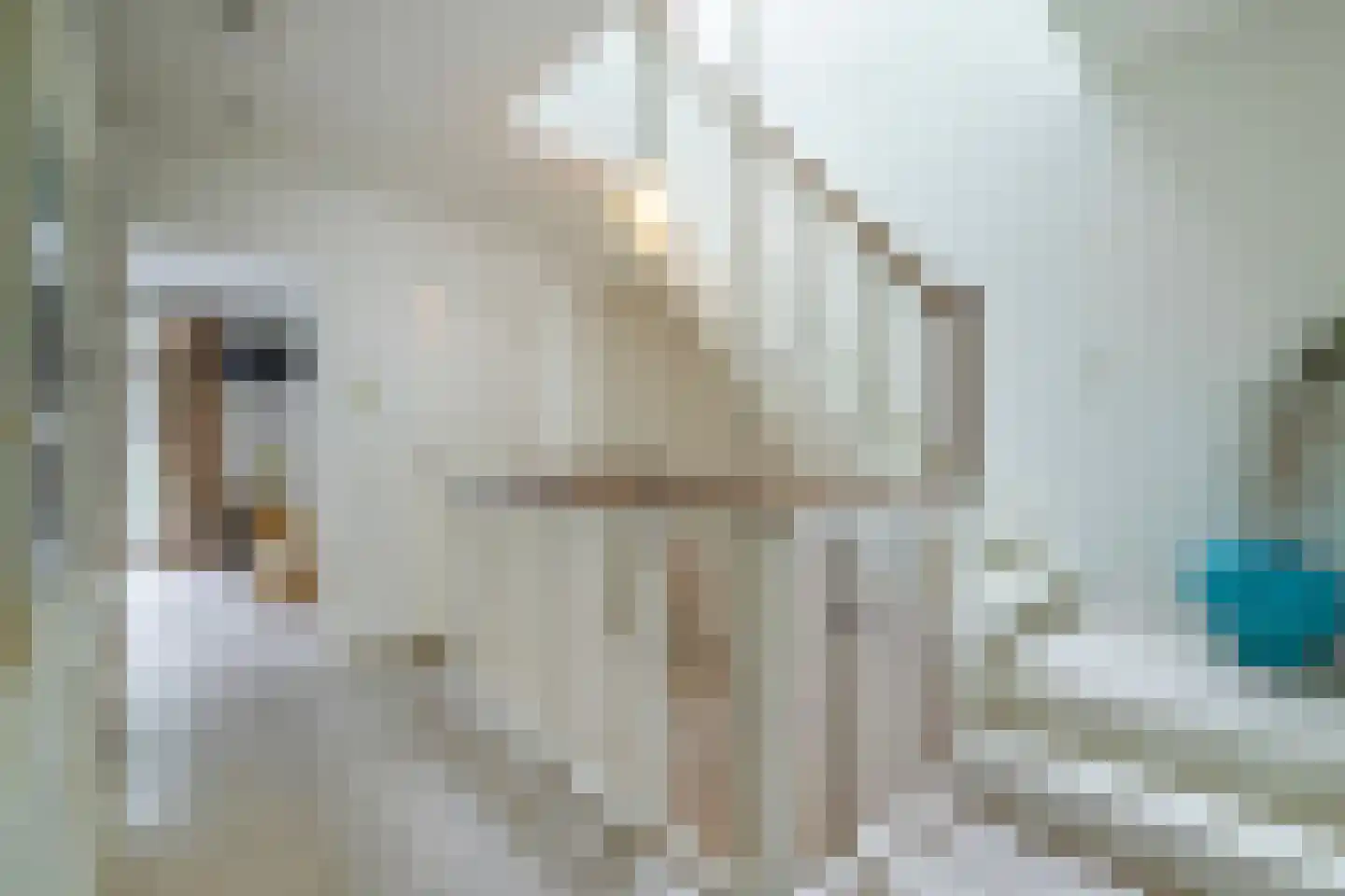 Gerrit van der Veenstraat 91 Amsterdam thumbnail 32