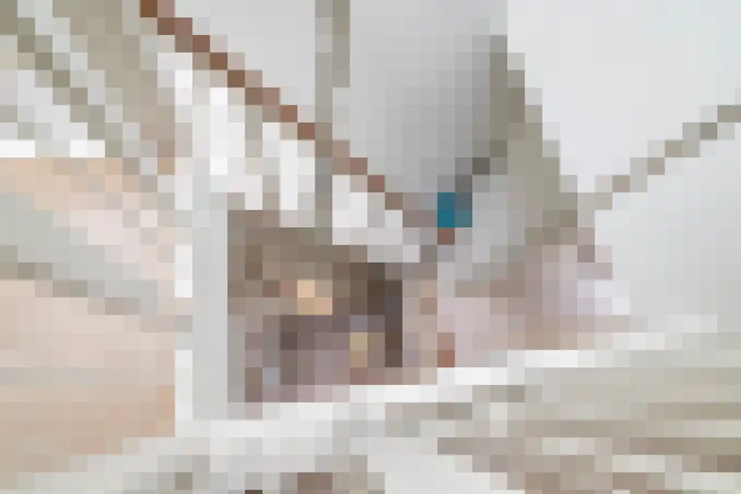 Gerrit van der Veenstraat 91 Amsterdam thumbnail 34