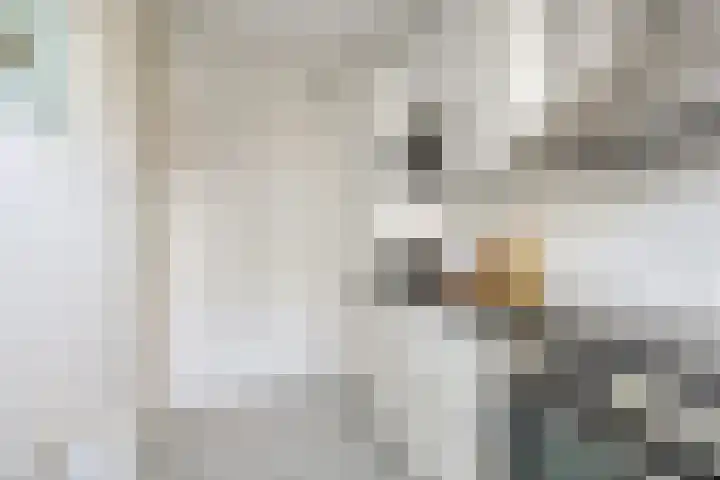 Gerrit van Doornikstraat 9 Breukelen thumbnail 14