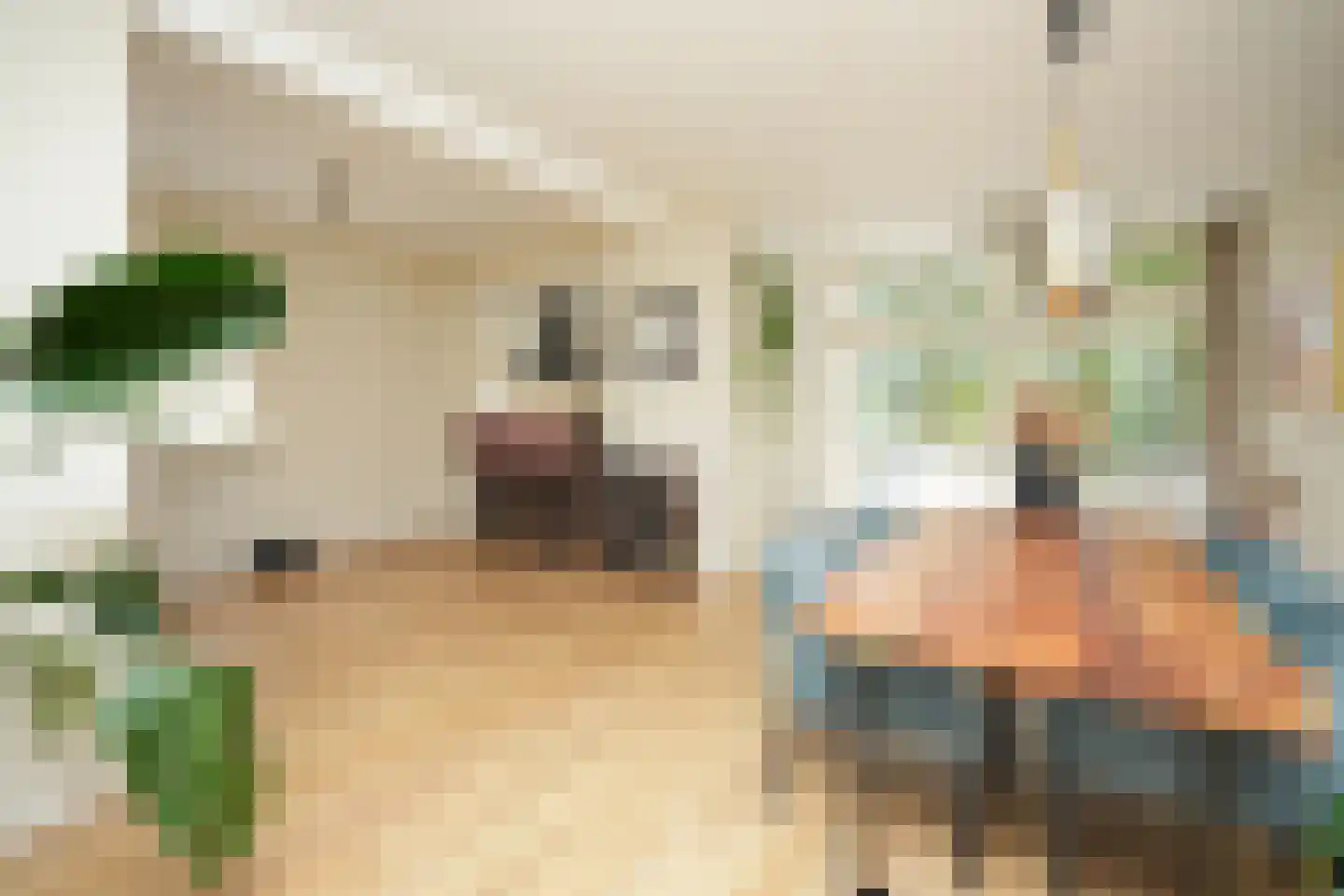 Gerrit van Durenstraat 11 Nijmegen thumbnail 15