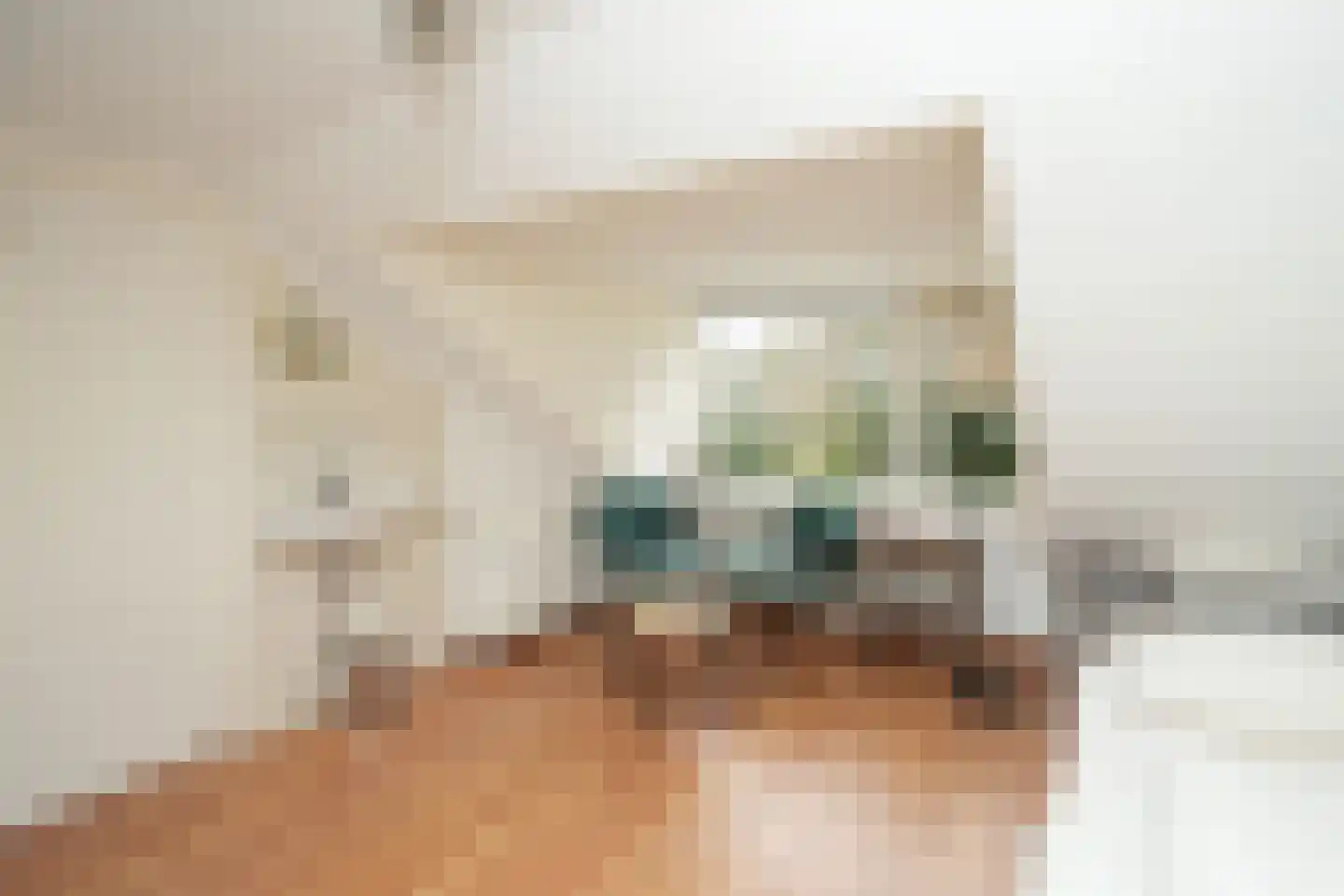 Gerrit van Durenstraat 11 Nijmegen thumbnail 40