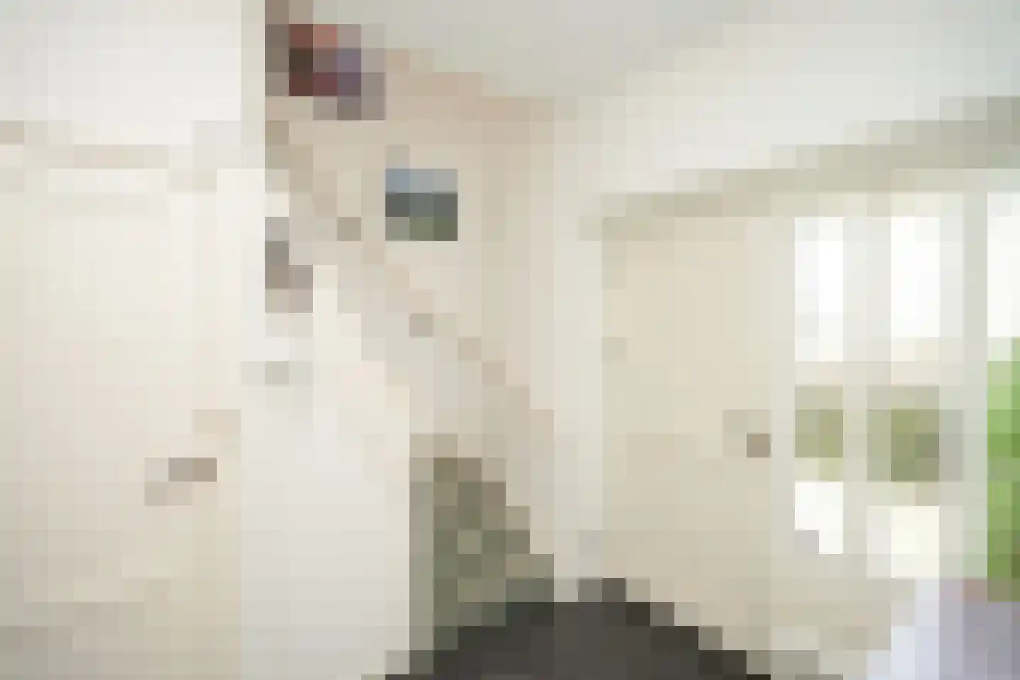 Gerrit van Durenstraat 11 Nijmegen thumbnail 9