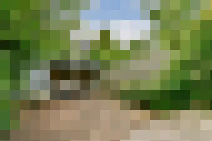 Gerrit van Heemskerklaan 6 Amstelveen thumbnail 13