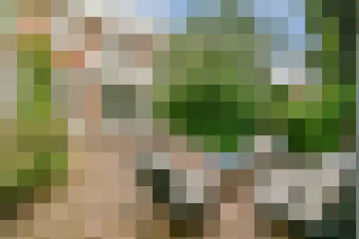 Gerrit van Heemskerklaan 6 Amstelveen thumbnail 14
